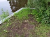 Afbeeldingslocatie: https://tweakers.net/ext/f/am5w5Ka3KV6cbeecx30Iln0H/thumb.jpg