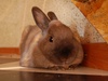 Afbeeldingslocatie: http://tweakers.net/ext/f/b3f14025ff9a0b4f8058e82307e4587c/thumb.jpg
