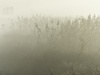 Afbeeldingslocatie: https://tweakers.net/ext/f/b8LyRIC5dRJPQtWAQ6KVsKy9/thumb.jpg