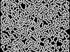 Maze