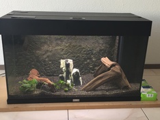 Afbeeldingslocatie: https://tweakers.net/ext/f/bLZqzbdr2kEixt3FpSDzE0YN/medium.jpg