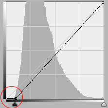 Curves