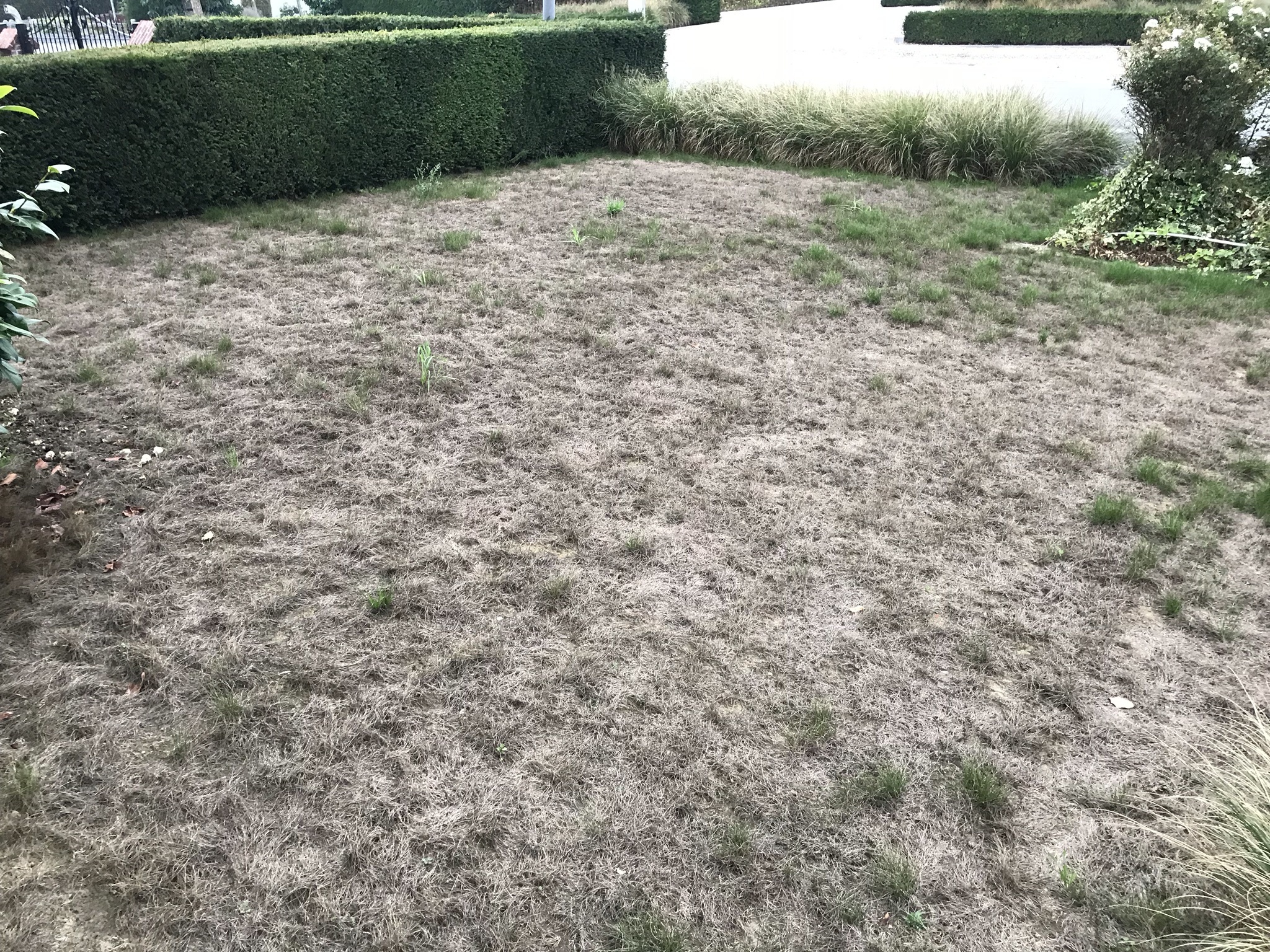 Afbeeldingslocatie: https://tweakers.net/ext/f/bYqHnX55iEyiR2pUIfqrkmks/full.jpg