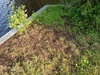 Afbeeldingslocatie: https://tweakers.net/ext/f/bhsC7wzlcaarcrpNT1Pf8a1i/thumb.jpg