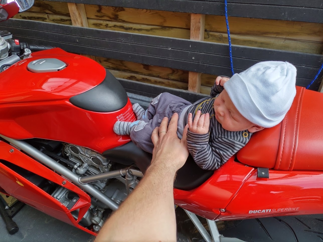 Afbeeldingslocatie: https://tweakers.net/ext/f/bmC5H9PEnLd0MEcInyHh5fvs/full.jpg