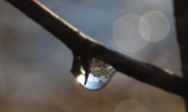 Afbeeldingslocatie: http://tweakers.net/ext/f/bndu5QeX1OzBkqzzTYpGSQ4m/full.jpg