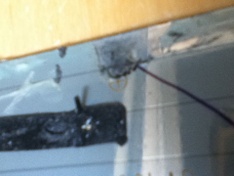 Afbeeldingslocatie: http://tweakers.net/ext/f/brnpHsMGPOqMLUsYRzHYhCre/medium.jpg