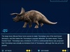 Triceratops Triceratops