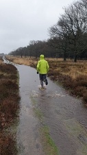 Afbeeldingslocatie: https://tweakers.net/ext/f/cKPLzhh3to3kdWs4beWGqja2/full.jpg