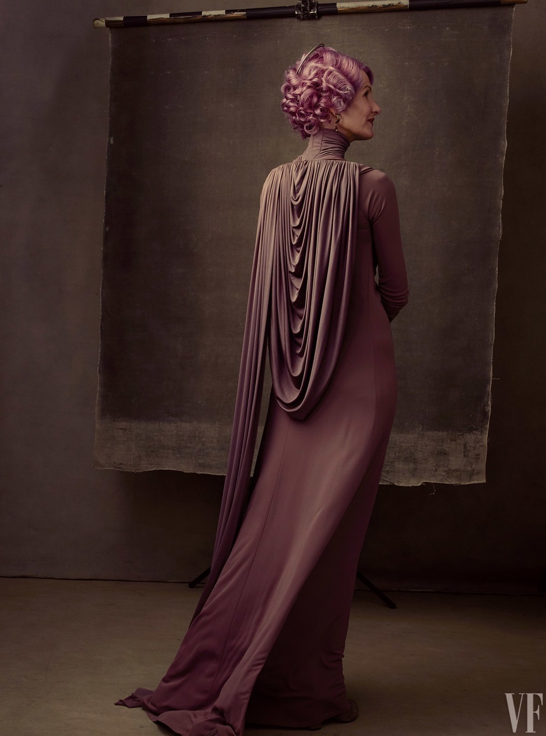 Laura Dern! als Vice Admiral Amilyn Holdo Laura Dern! als Vice Admiral Amilyn Holdo