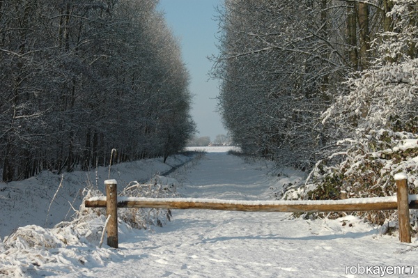 Afbeeldingslocatie: http://tweakers.net/ext/f/d6UUrjV4S1QoIjb9oWSDil1T/full.jpg