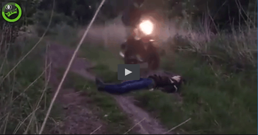 Afbeeldingslocatie: https://tweakers.net/ext/f/dFADcxl5jbU56On8ZH9HSfsI/full.png