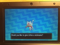Shiny Litten