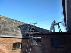 Afbeeldingslocatie: https://tweakers.net/ext/f/dSq253flg6vFBhWOY2vD7voh/medium.jpg