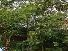 Afbeeldingslocatie: https://tweakers.net/ext/f/dXNiQ0Fa2TlHocERMTFN8c96/medium.jpg