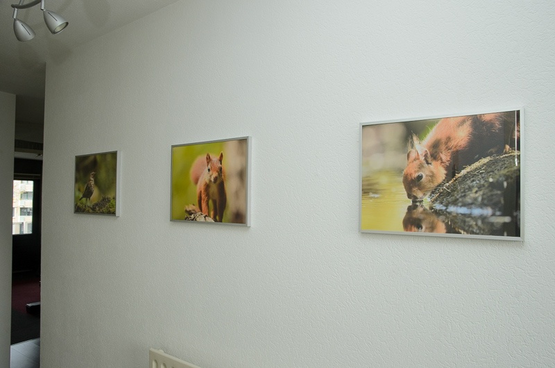 Afbeeldingslocatie: http://tweakers.net/ext/f/deIOJFYTZYbG1GO7NcXW1tQx/full.jpg