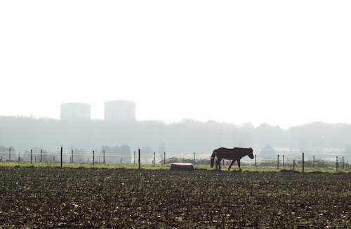 Afbeeldingslocatie: http://tweakers.net/ext/f/dgt6gztG5jtbUCmRd3WuWuyg/full.jpg