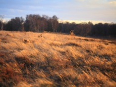 Afbeeldingslocatie: http://tweakers.net/ext/f/dhUhPQ34WrnijB9PWjqKkPUb/medium.jpg
