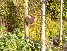 Afbeeldingslocatie: http://tweakers.net/ext/f/eUpjH0MGB7pRNnHPzilVUgX8/medium.jpg