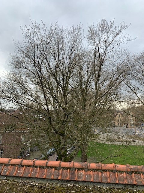 Afbeeldingslocatie: https://tweakers.net/ext/f/edsLo2QHTtxMIGAB2BquoqNS/full.jpg