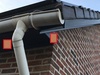 Afbeeldingslocatie: https://tweakers.net/ext/f/eonPLNBWHm3qFAVVuLa8sSyJ/thumb.jpg