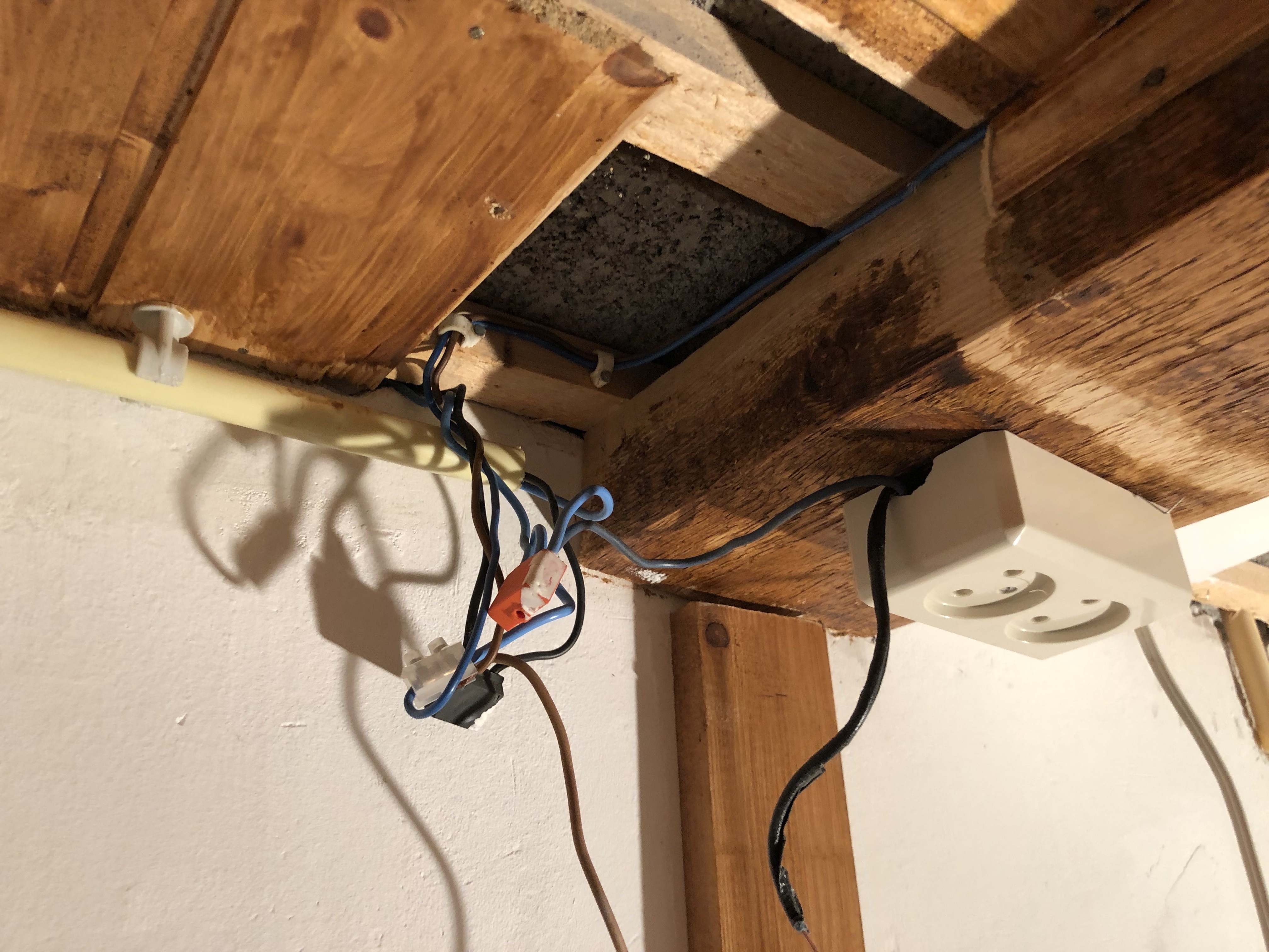 Afbeeldingslocatie: https://tweakers.net/ext/f/evX1KhI1Sa9EiSUqXaCNWCbV/full.jpg