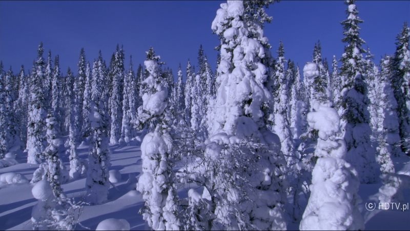 Afbeeldingslocatie: https://tweakers.net/ext/f/f54MQFRpqbUeZoR7H3d8ql7T/full.jpg