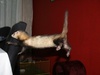 Afbeeldingslocatie: http://tweakers.net/ext/f/f67c9c5c4bc870bcfed667d0ae38b4fc/thumb.jpg