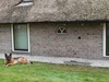 Afbeeldingslocatie: https://tweakers.net/ext/f/fLUtgUvDiLPe3dOanWwHoHYR/thumb.jpg
