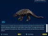 Ankylosaurus Ankylosaurus
