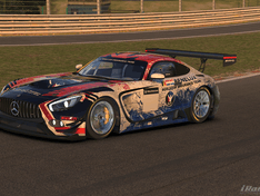 17S3 24h GoT Team Livery 3