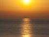 Afbeeldingslocatie: http://tweakers.net/ext/f/gDXpcJuB0u2TehOn0evUe7QB/thumb.jpg