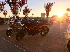 Afbeeldingslocatie: https://tweakers.net/ext/f/gKKjRpxkoGZgjLHNnkktfzNc/medium.jpg