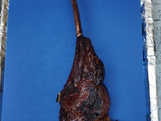 Afbeeldingslocatie: https://tweakers.net/ext/f/gMM6w1H4zZ6uAum18ZlBYgb6/medium.jpg