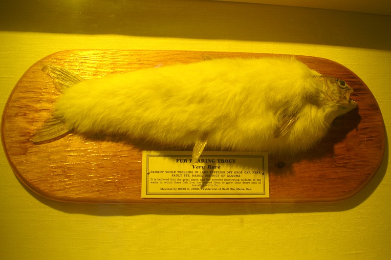 http://tweakers.net/ext/f/gTqK1tgZ6KXiR6Dr8CBioYCA/full.jpg http://tweakers.net/ext/f/gTqK1tgZ6KXiR6Dr8CBioYCA/full.jpg