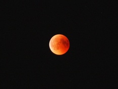 Bloedmaan 2018