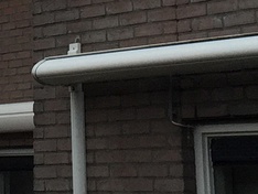 Verlengde Steun