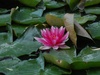 D40/ 55-200 mm VR; 1/200s; f/10; ISO-400; VR; MF; 200 mm