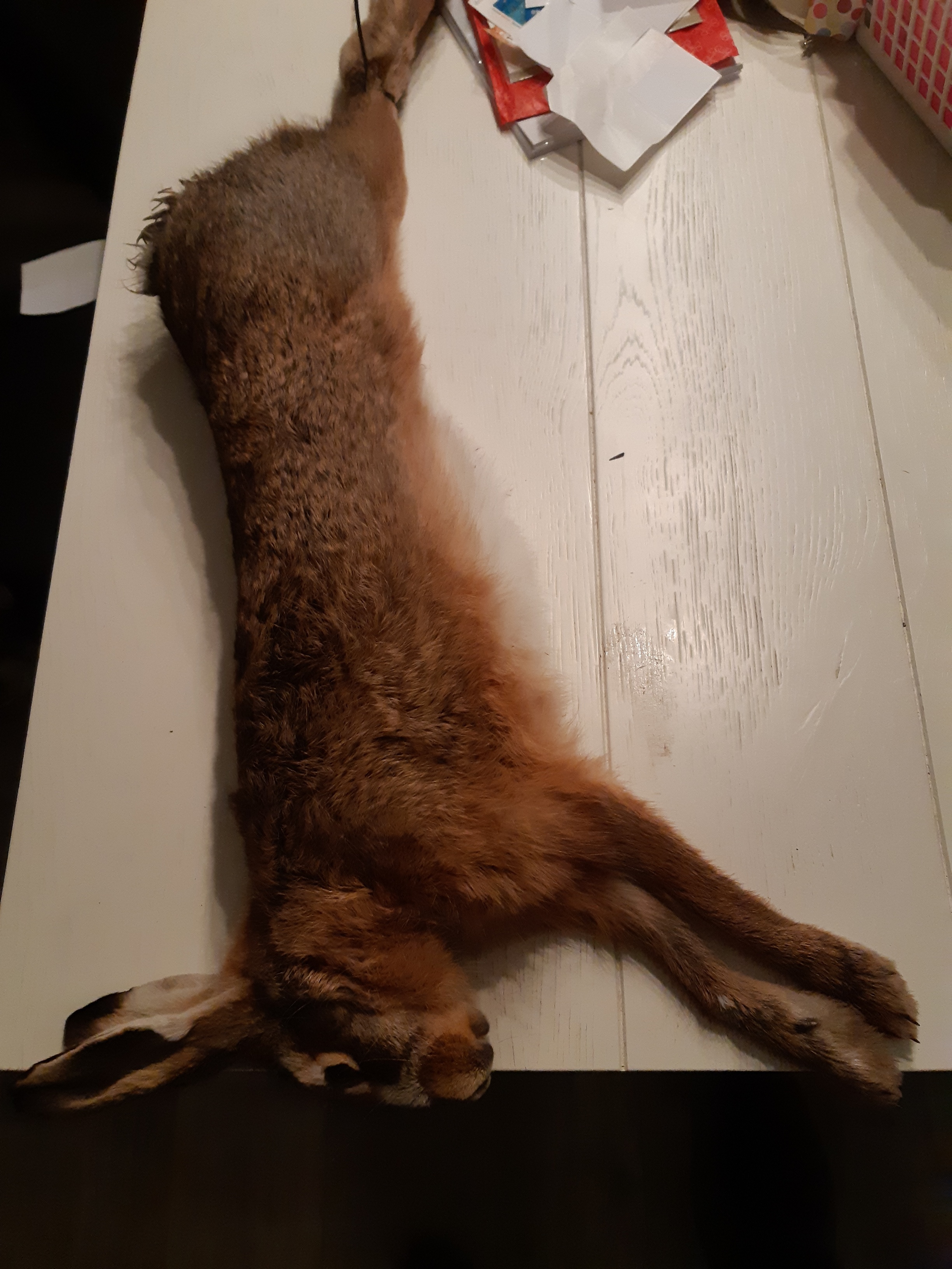 Afbeeldingslocatie: https://tweakers.net/ext/f/h3Q00VYkkeDP6yxcmavwZXUR/full.jpg