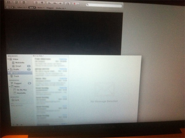 Bug Lion mail 1 Bug Lion mail 1