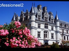 Professioneel2
