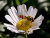 Afbeeldingslocatie: http://tweakers.net/ext/f/hPqiCPK4N3Ba1aPRsoKvge0p/thumb.jpg