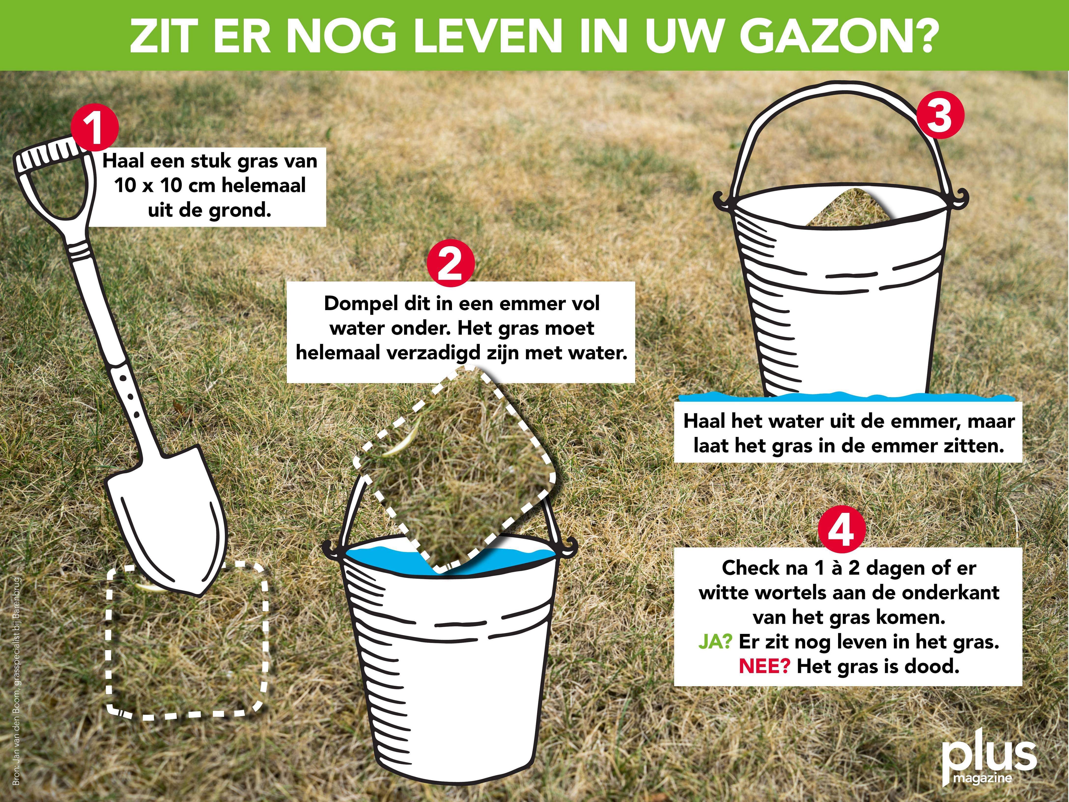 Afbeeldingslocatie: https://tweakers.net/ext/f/hakkDzaOFaQM7xLrFFOhT9vb/full.jpg