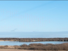 Sensor fout D80