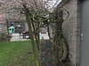 Afbeeldingslocatie: https://tweakers.net/ext/f/i4YknqraIFVMhuZEKUoMR5Z0/thumb.jpg