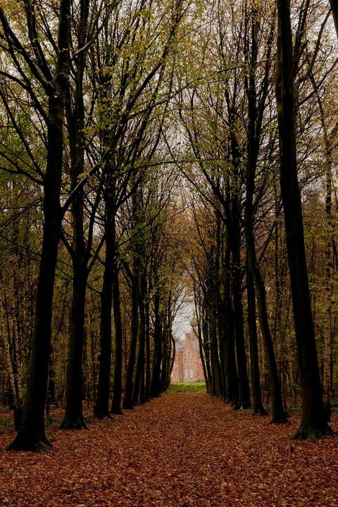 Afbeeldingslocatie: http://tweakers.net/ext/f/i4eAhFwdEhWhwwbOOBRsSp9Q/full.jpg