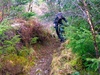 Afbeeldingslocatie: https://tweakers.net/ext/f/iXTo3sr8vln4GZAuC2HXtbTT/thumb.jpg