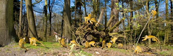 Afbeeldingslocatie: http://tweakers.net/ext/f/ib3XMU9VvYjumNIfhVsTu6Gm/full.jpg