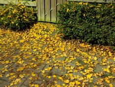 Afbeeldingslocatie: https://tweakers.net/ext/f/ilkfbcsdc41NPuPyN4nmogqn/medium.jpg