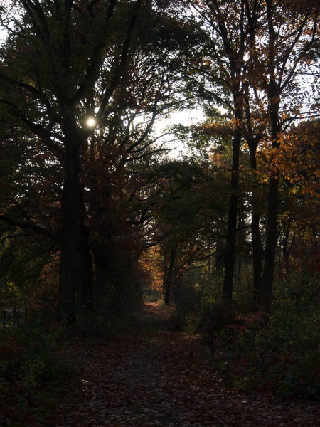 Afbeeldingslocatie: http://tweakers.net/ext/f/ivAFr2h37zXYriEfH826CFKd/full.jpg